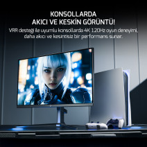 27 GAMEPOWER RAPID DUAL FLAT 0.5MS 160Hz MONITOR